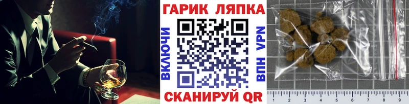 ГАШ VHQ Медынь