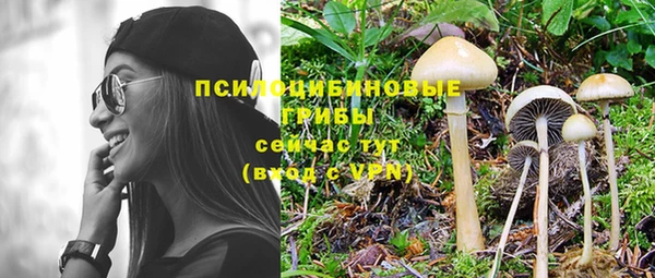 2c-b Алзамай