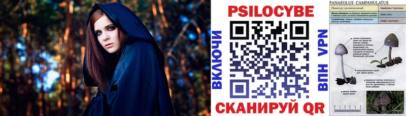 Галлюциногенные грибы GOLDEN TEACHER  shop Telegram  Медынь 
