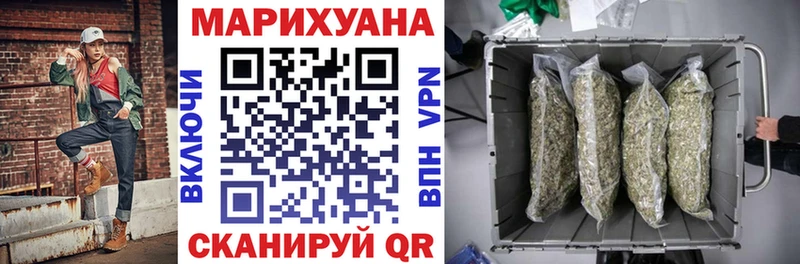 omg как зайти  Медынь  Канабис сатива 